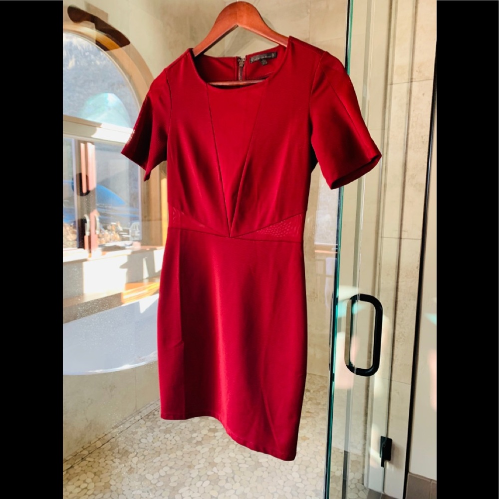 Dark Red Mesh Dress Midi Sz S